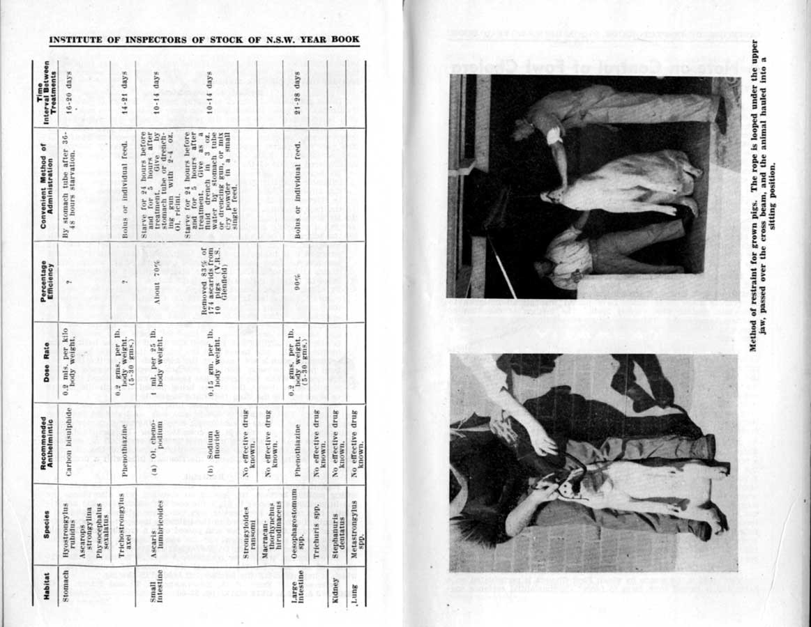 1946 Page 064 065